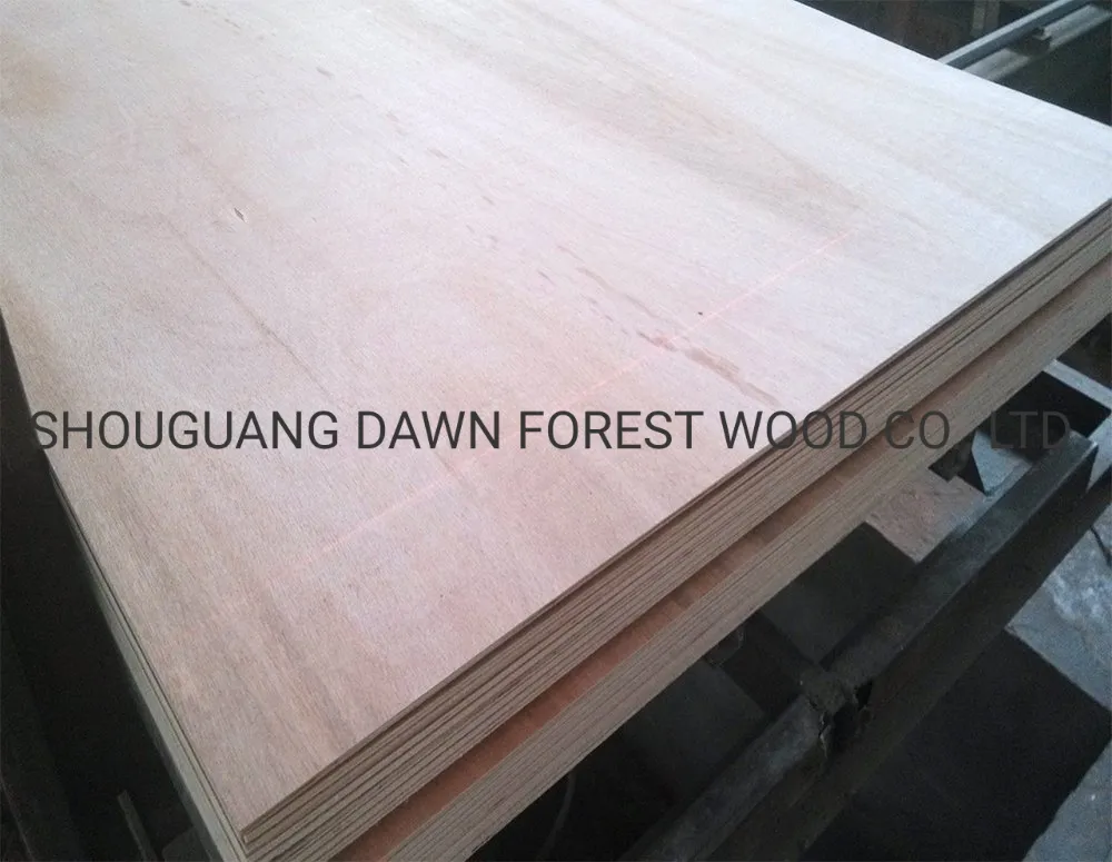 (Poplar, Combi, Birch Core) Film Faced Phenolic Plywood for Construction