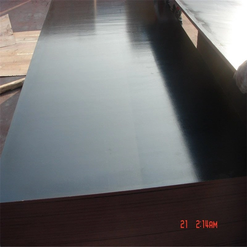 1200X1800mm 1200X2400mm Eucalyptus Plywood Formply F17