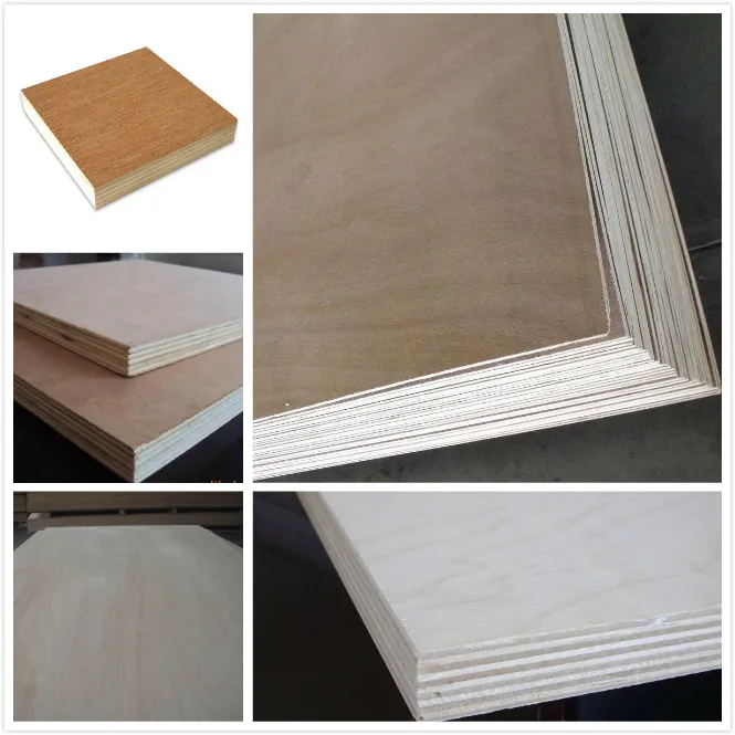 1220*2440 Poplar Core 15mm Birch Plywood China