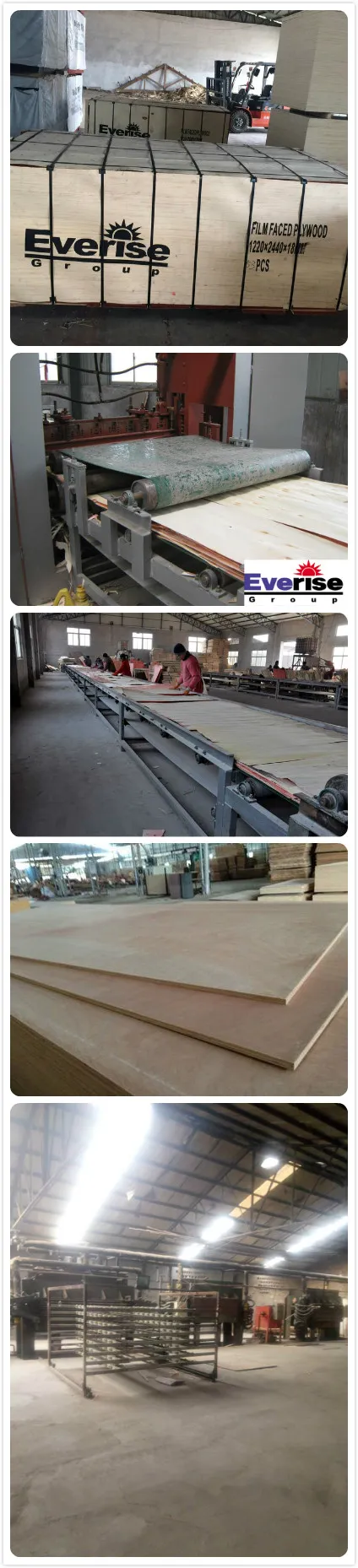 1220*2440 Poplar Core 15mm Birch Plywood China