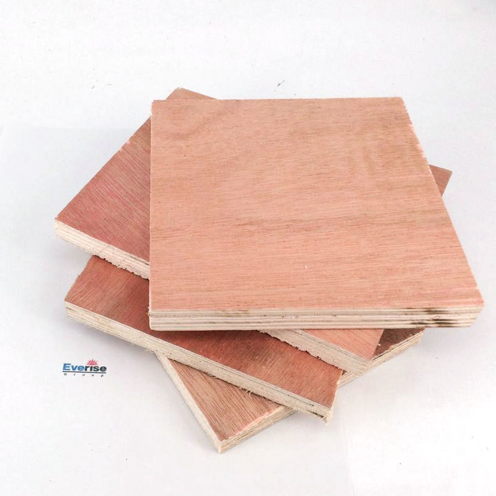 1220 *2440 Poplar Core 15mm Birch Plywood China