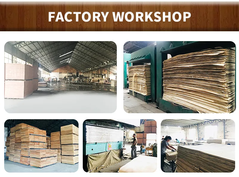 1220*2440mm High Grade Building Plywood with Low Price