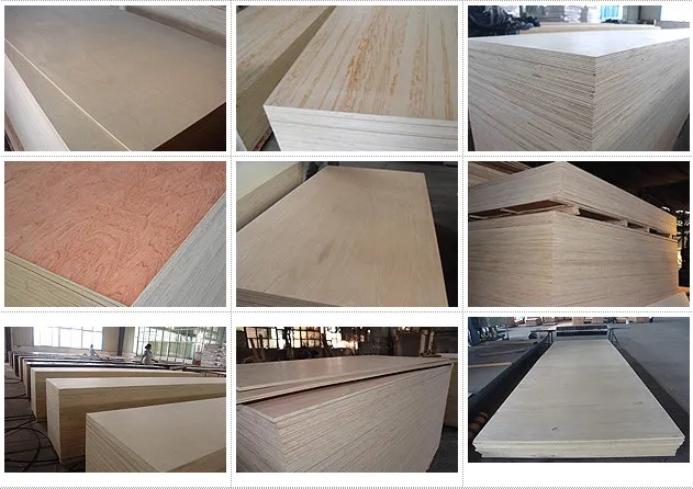 1220*2440mm Size White Surface Melamine Plywood Sheets
