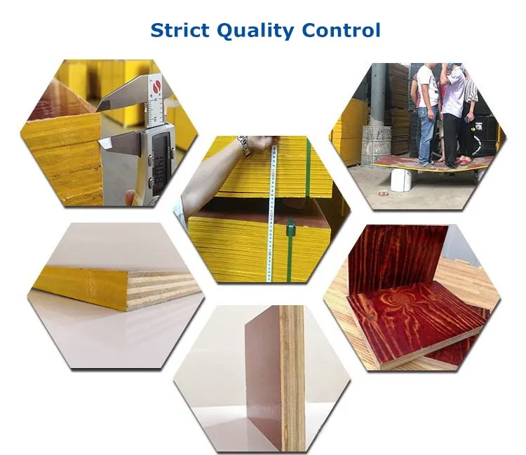 1220X2440X18mm Formply Eucalyptus for Australia Market