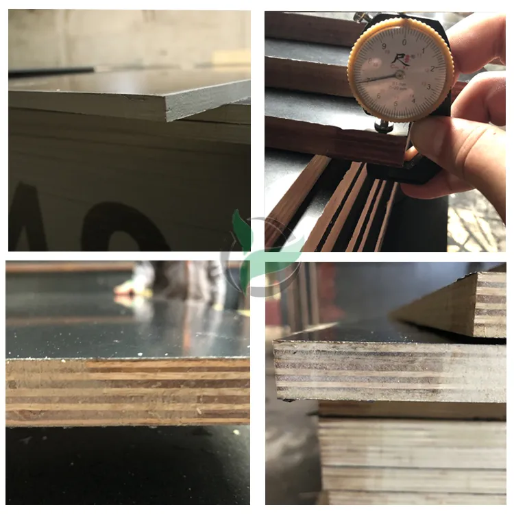 1220X2440X18mm Formply Eucalyptus for Australia Market