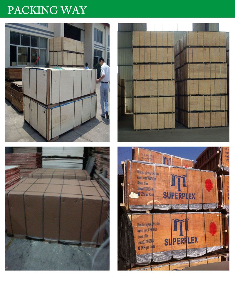 16mm 17mm 18mm Black Film Faced Plywood for African Market with Cheaper Price