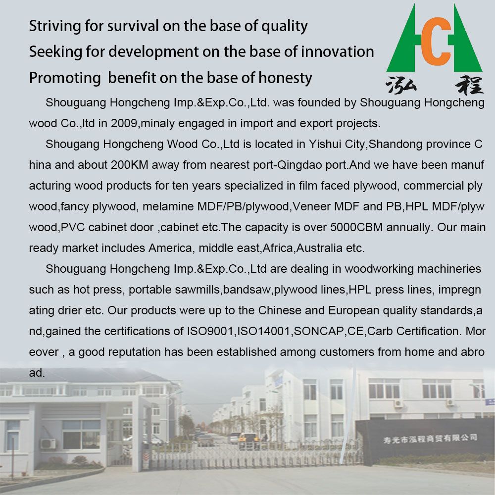 16mm 17mm 18mm Black Film Faced Plywood for African Market with Cheaper Price