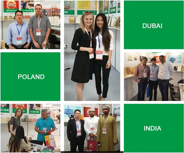 16mm Twice Hot Press Black Film Faced Plywood with Logo