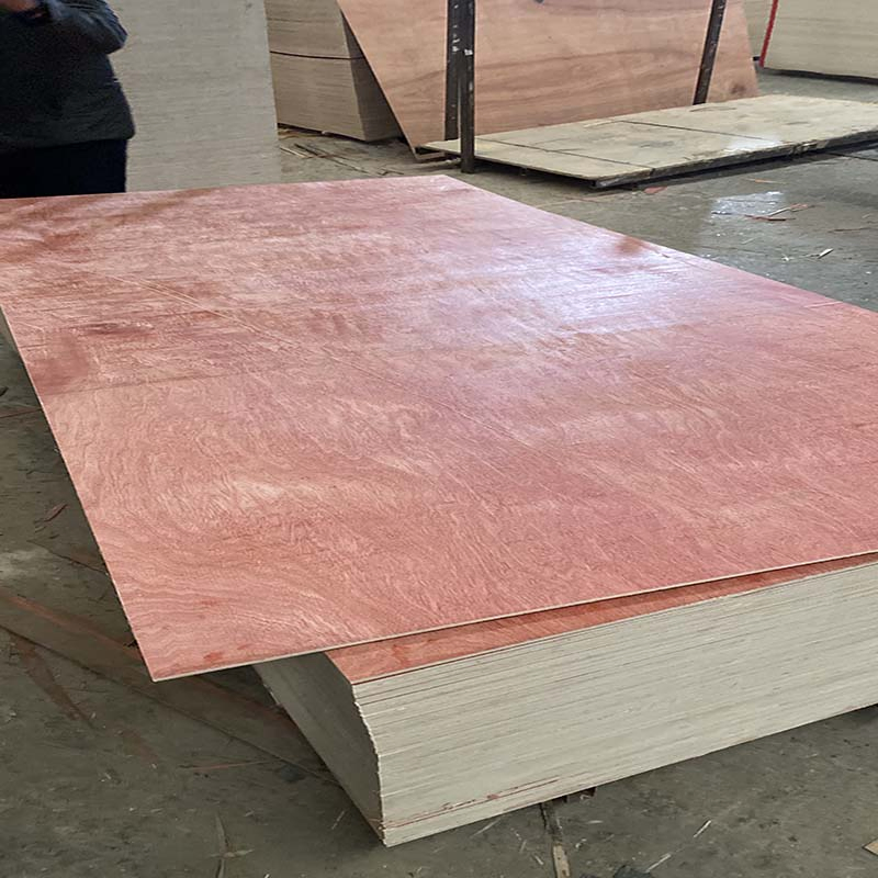 18mm BS1088 Standard Waterproof Marine Bb Grade Bintangor Plywood