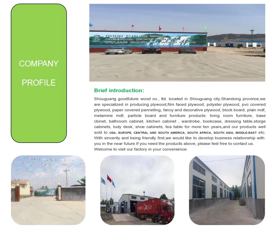 18mm Green/Red/Black/Brwon Film Faced Plywood/Concrete Formwork/Shuttering Plywood Sheet/Marine Plywood with Size 1220X2440/4′x8′ for Construction