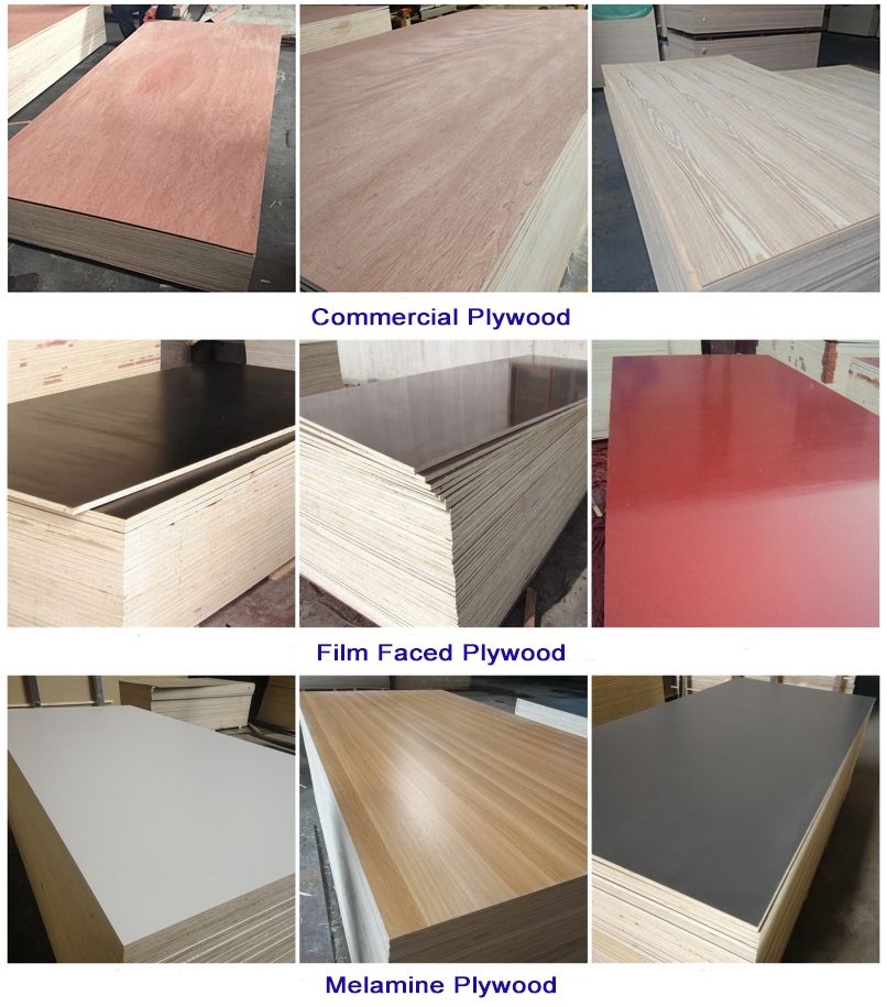 18mm Plastic Film Faced Plywood/PP Plastic Coated Plywood