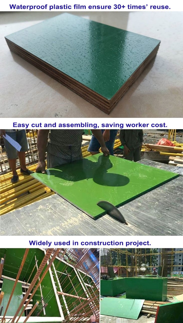 18mm Plastic Film Faced Plywood/PP Plastic Coated Plywood