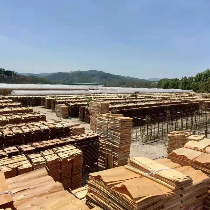 18mm Thickness Film Faced Plywood with Logo for Construction