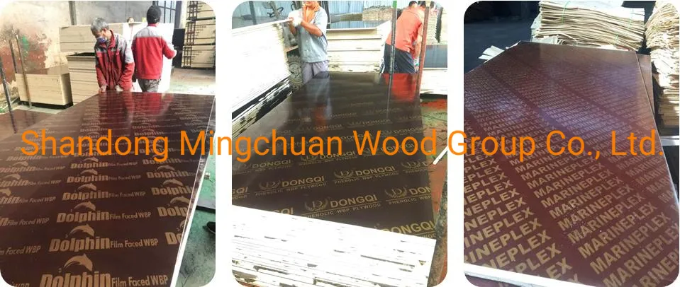 18mm Waterproof Plywood Formwork Shuttering Plex Film Faced Plywood