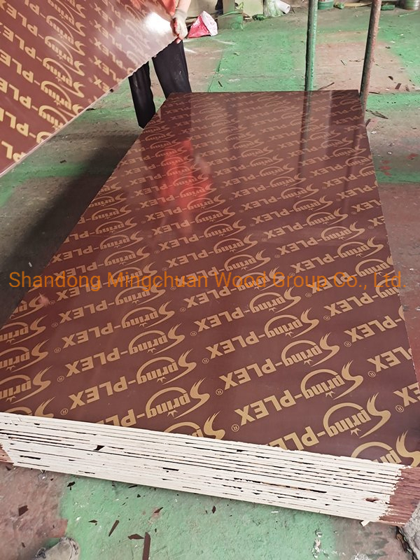 18mm Waterproof Plywood Formwork Shuttering Plex Film Faced Plywood