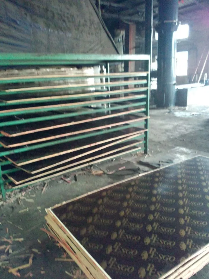 2 Times Finishing Film Faced Plywood for Concrete Forming