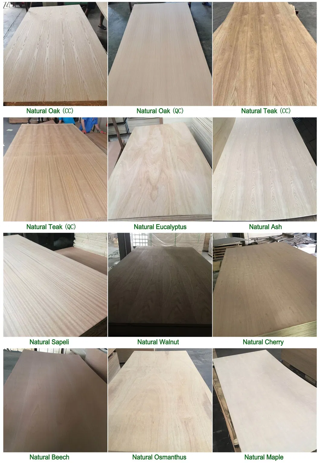 3mm---18mm 1220*2440mm Commercial Birch/Okoume/Bintango/Pine Plywood for Furniture