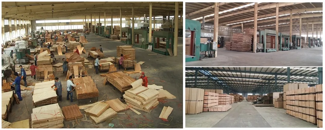 3mm---18mm 1220*2440mm Commercial Birch/Okoume/Bintango/Pine Plywood for Furniture