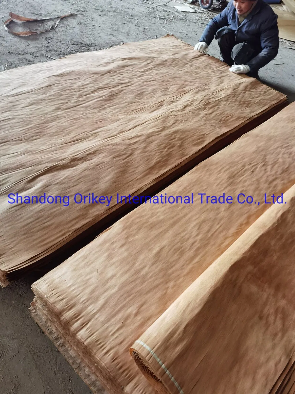 4*7 Plb Veneer B+C Grade 0.25mm Thickness Veneer for India Market From China