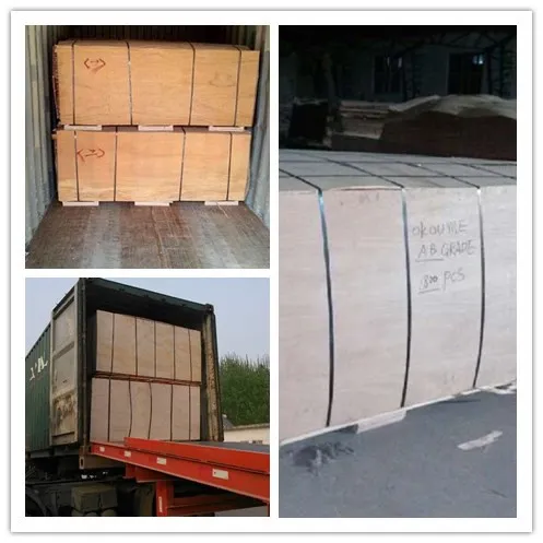 9mm Poplar Core Okoume Plywood Sheet Price