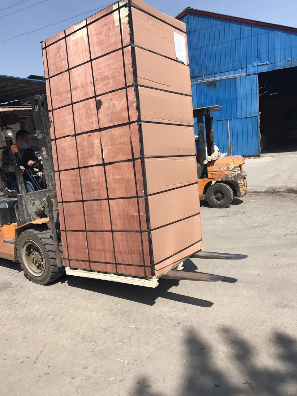 9mm WBP Glue Melamine OSB Made From China with All Colors