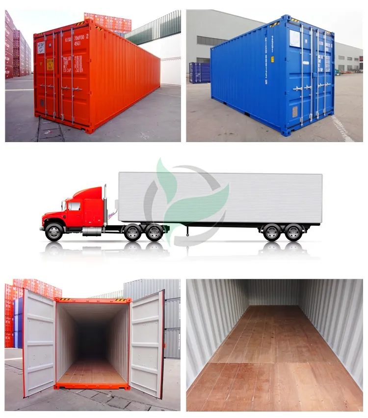 ABS Certificate 28mm Waterproof Bamboo Container Floor Plywood