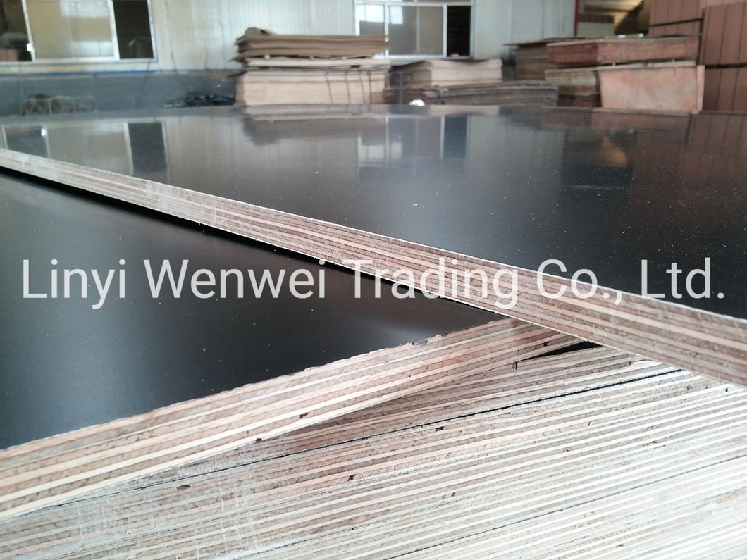 As6669 F17 1800 X 1200 X 17 mm Structural Formwork Plywood