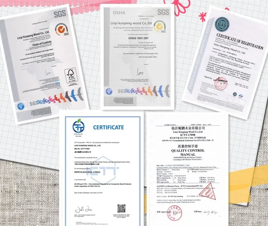 Best Quality LVL Bed Slats with Competitive Price