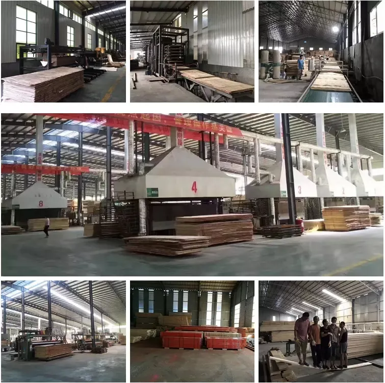 Best Quality LVL Bed Slats with Competitive Price