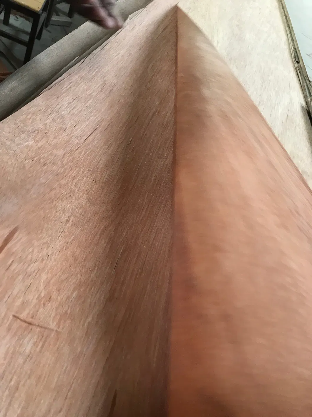 Bintangor Okume and PA Plb Veneer for Plywood