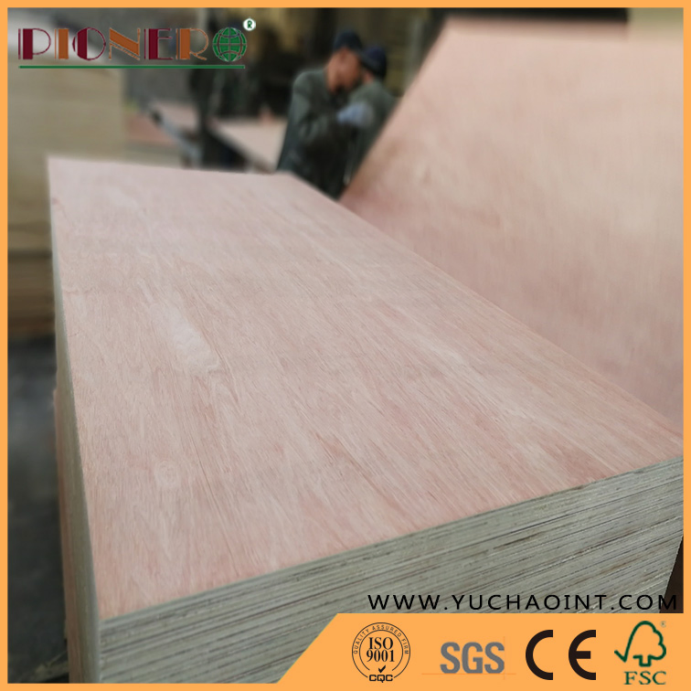 Bintangor Plywood Hardwood Core E1 Glue for Furniture /Decoration/Packing /Construction