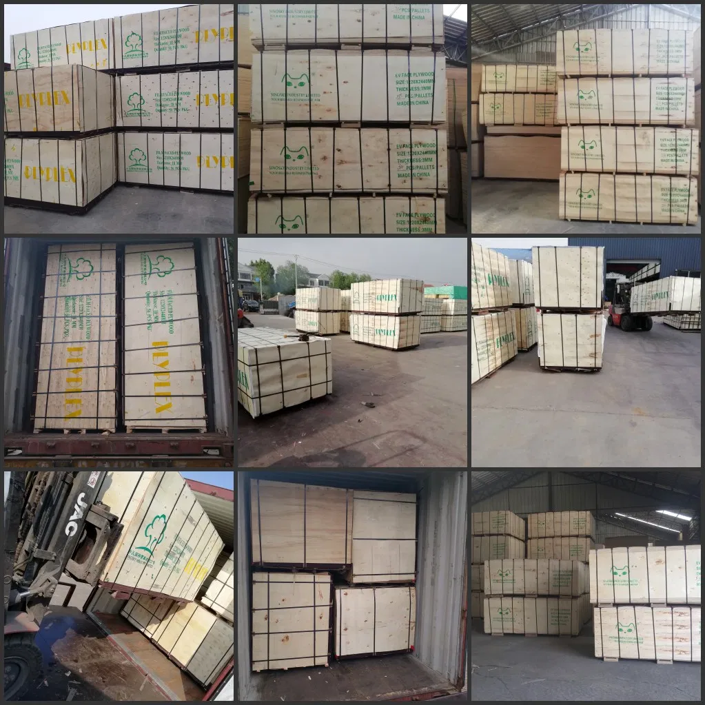 Birch Pine Bintangor Plb Okume Natural Face Veneer for Commercial Plywood at Wholesale Price