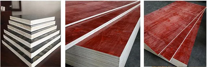 Black/Brown Film Faced Plywood for Decoration with Good Quality