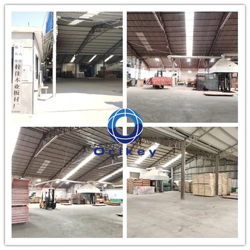 Black/Brown Film Faced Plywood for Decoration with Good Quality