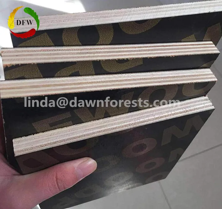 Black Phenolic Concrete Formwork Marineplex Plywood Price for Building Material