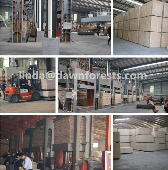 Black Phenolic Concrete Formwork Marineplex Plywood Price for Building Material