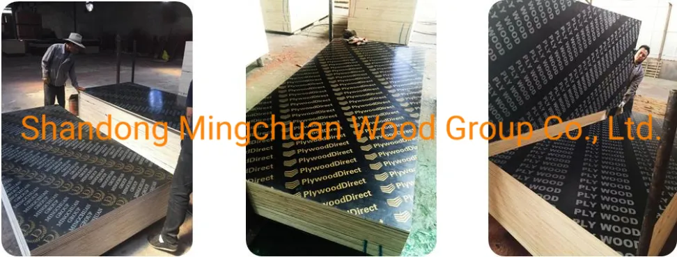 Brown Film Faced Plywood Shuttering Marineplex Waterproof Plywood