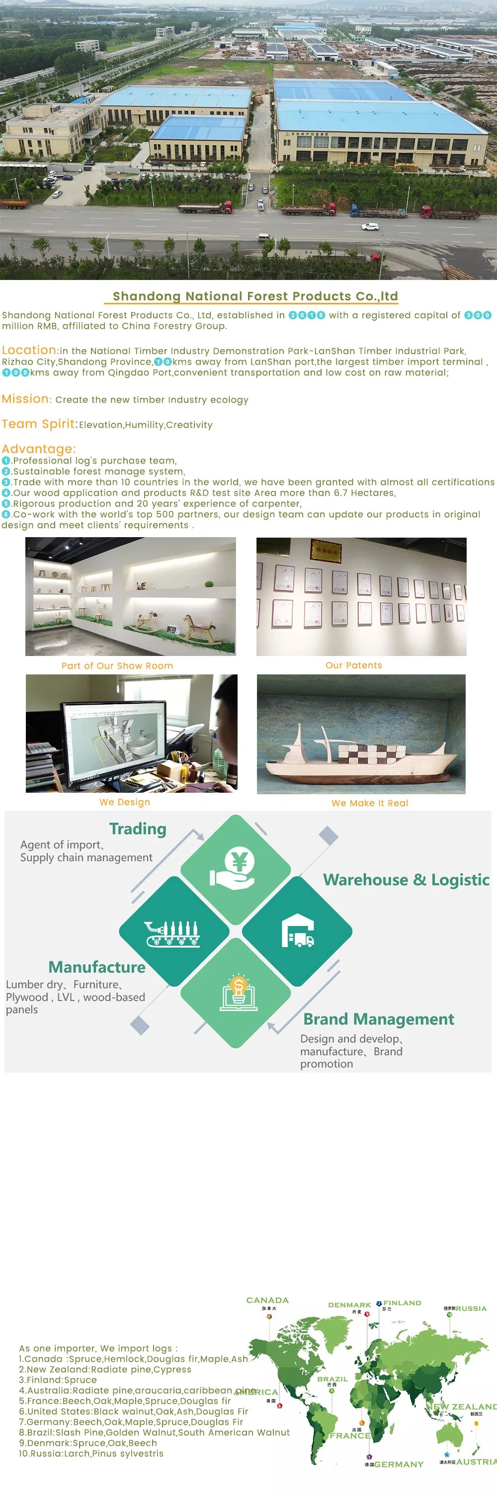 CE Approved Wooden Panel OSB Factory Supply for Furniture