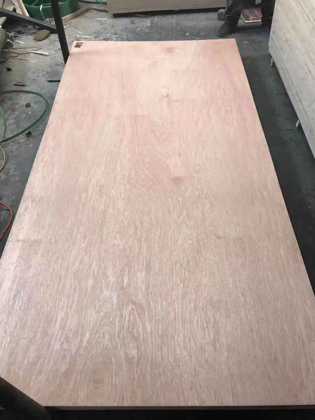 Cheaper Price with Bingtangor Faced Commercial Plywood