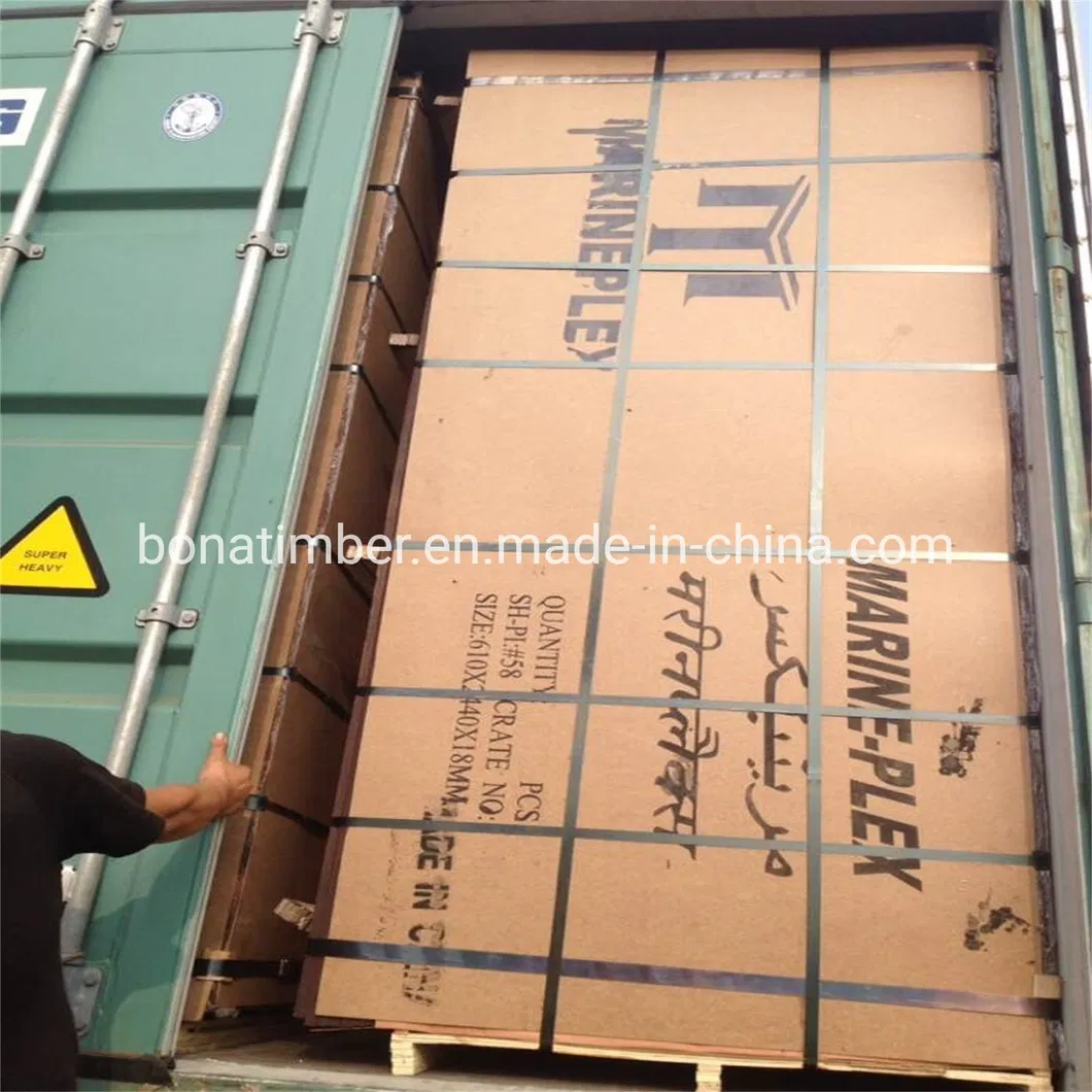 China Factory Supply Film Faced Plywood 1220X2440X11mm Black Film with Logo Wall Panel Plywood Shuttering Plywood Constructural Plywood to MID-East Market