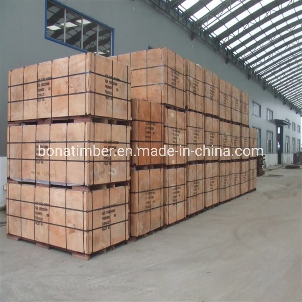 China Factory Supply Film Faced Plywood 1220X2440X11mm Black Film with Logo Wall Panel Plywood Shuttering Plywood Constructural Plywood to MID-East Market