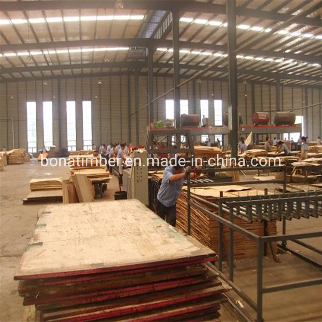 China Factory Supply Film Faced Plywood 1220X2440X11mm Black Film with Logo Wall Panel Plywood Shuttering Plywood Constructural Plywood to MID-East Market