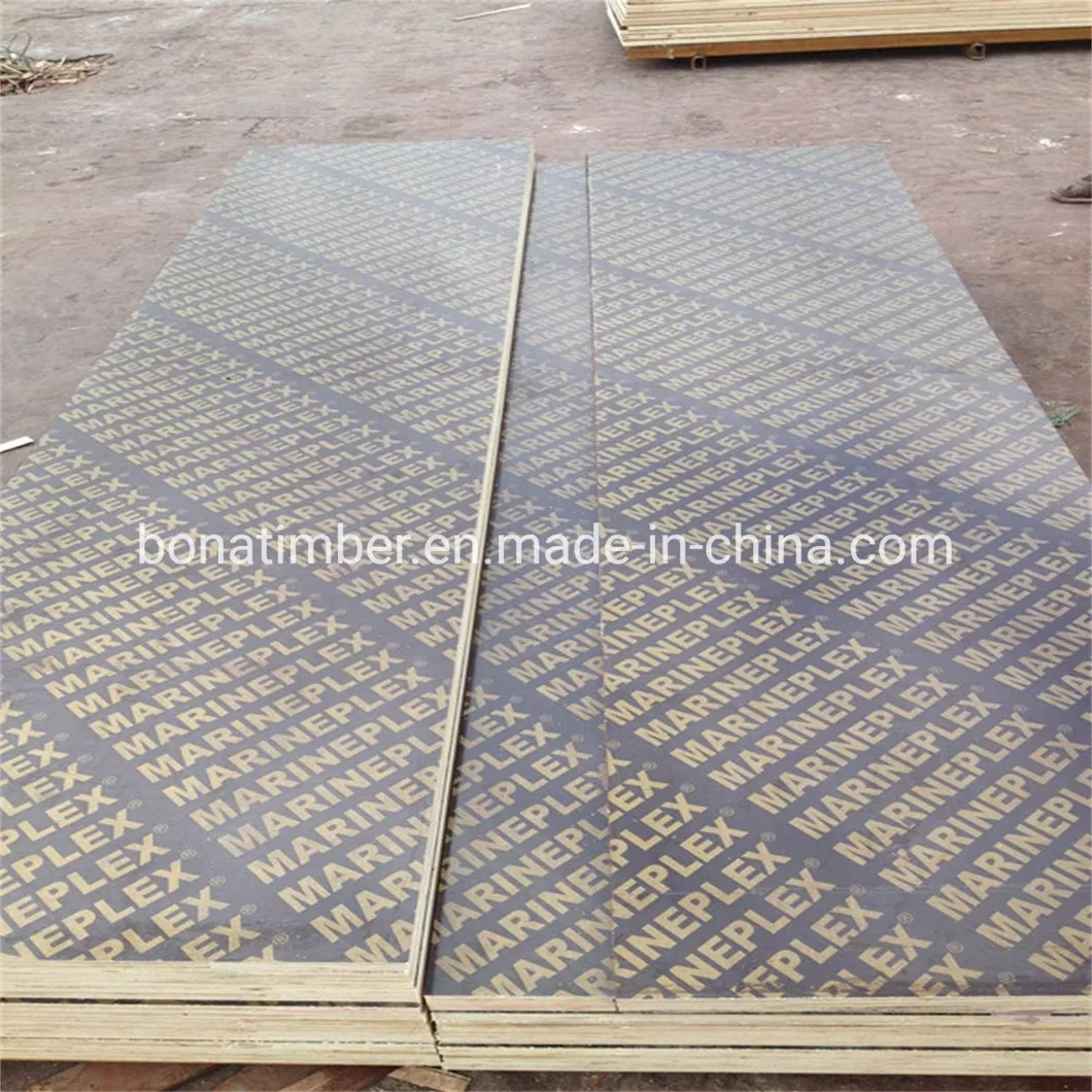 China Factory Supply Film Faced Plywood 1220X2440X11mm Black Film with Logo Wall Panel Plywood Shuttering Plywood Constructural Plywood to MID-East Market