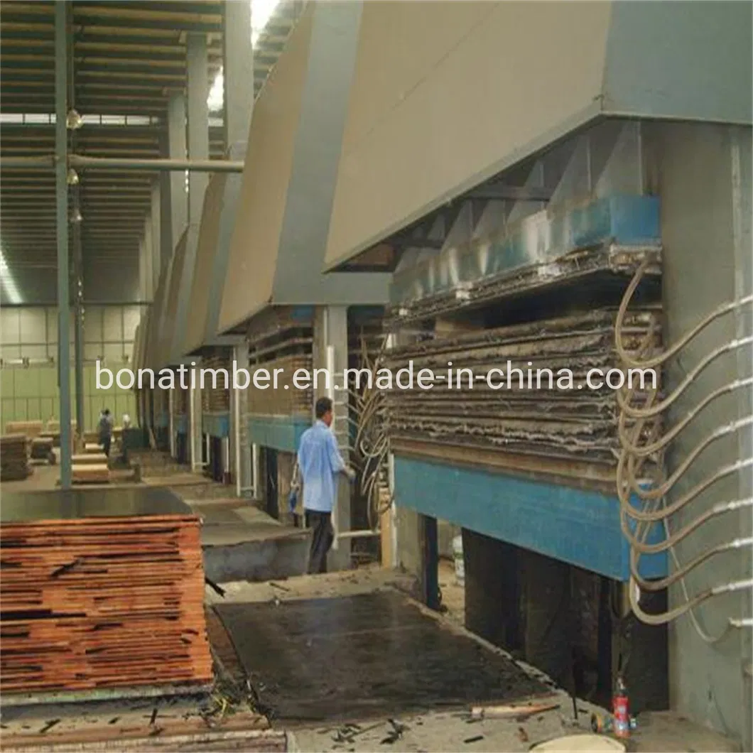 China Factory Supply Film Faced Plywood 1220X2440X11mm Black Film with Logo Wall Panel Plywood Shuttering Plywood Constructural Plywood to MID-East Market