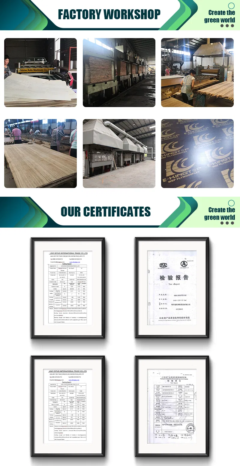 Custom Made Film Faced Plywood for Concrete Shuttering System