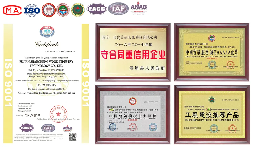 Customized OEM ODM Construction Formwork Plywood Film Faced Plywood