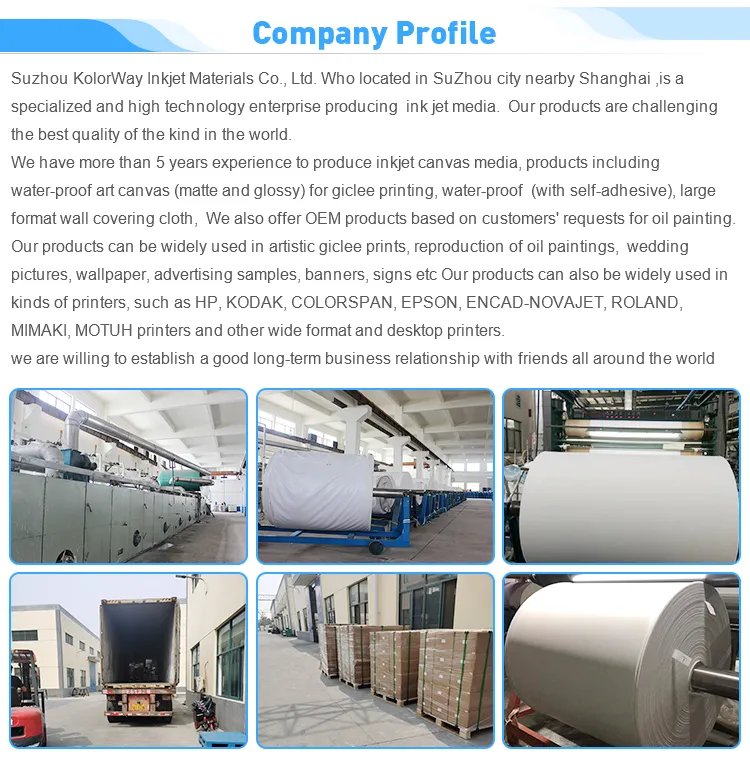 Digital Eco Solvent/Latex/UV Textile Wallpaper Material Wall Covering