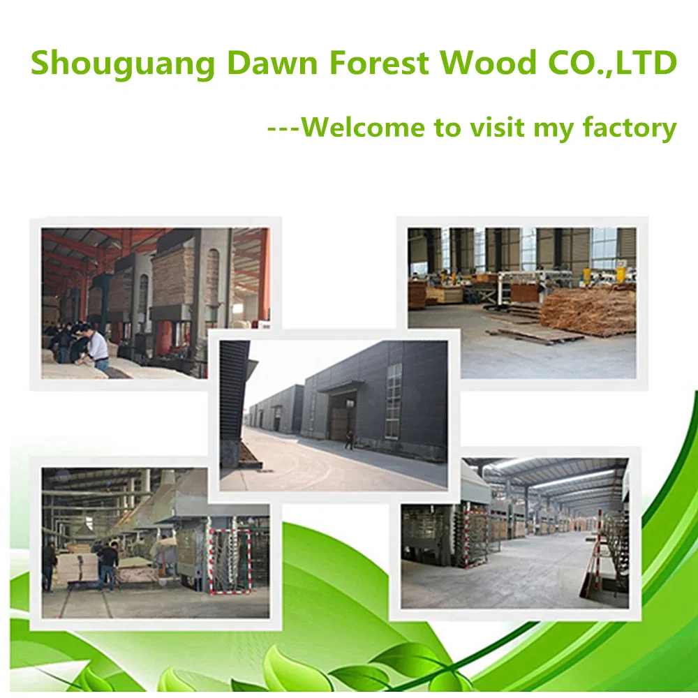 Factory Direct Sale Discount Formwork Construction Plywood 1220*2440*18mm