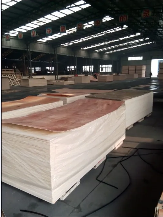 Full Radiate Pine Plywood B/C for Furniture