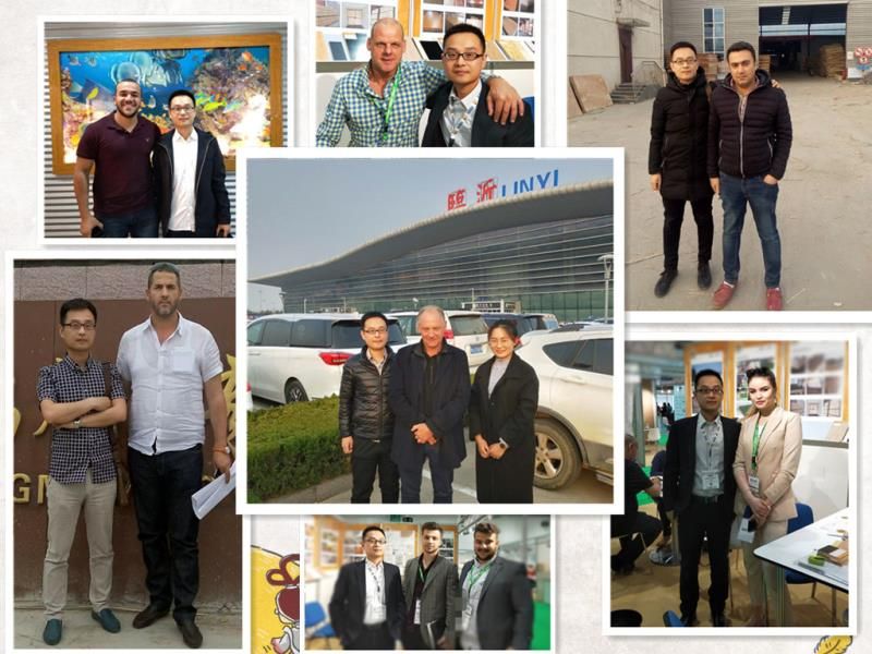 Furniture Parts Poplar LVL Wooden Bed Slats